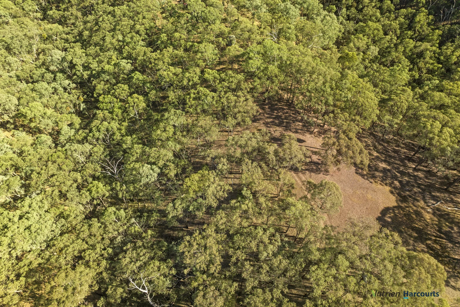 Additional image 25 of 75 Yellow Box Ridge Road, Acheron VIC 3714