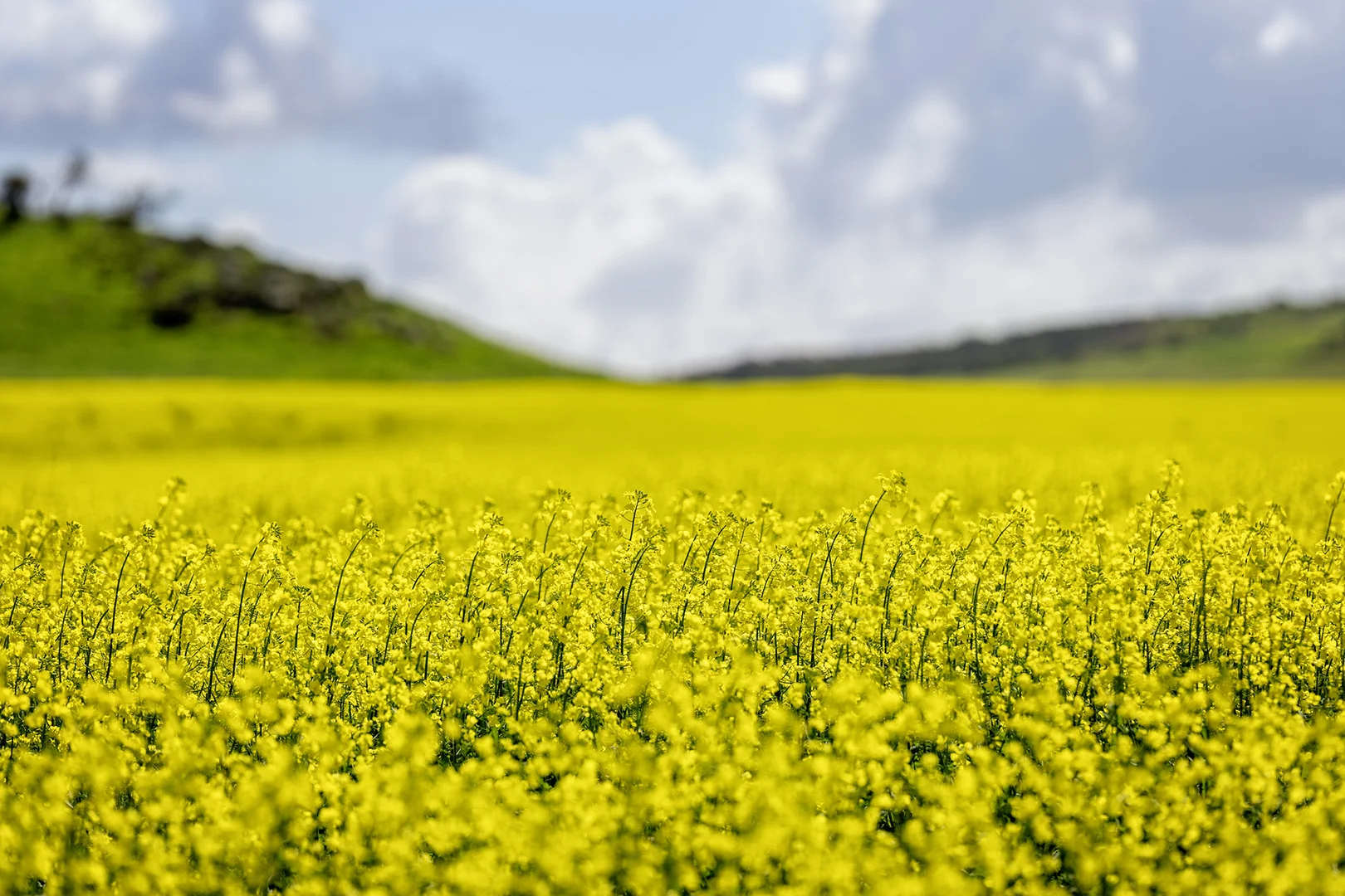 Additional image 18 of 829 Nabawa Northampton Road, Hickety WA 6532