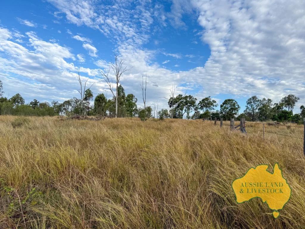 Additional image 31 of 8 SCREENING PLANT ROAD, Cynthia QLD 4627