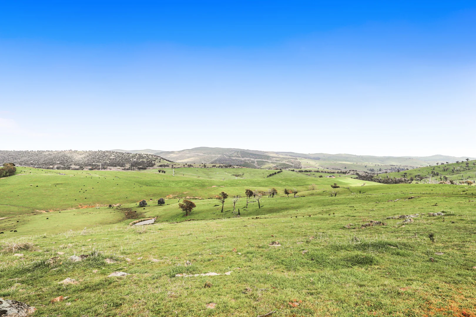 Additional image 9 of 3 West Gilmore Road, Tumut NSW 2720