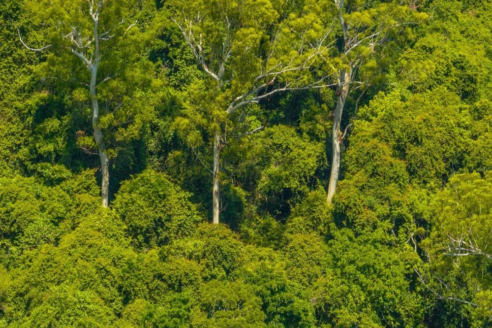 Additional image 8 of 384 Eastern Boundary Road, Rollands Plains NSW 2441