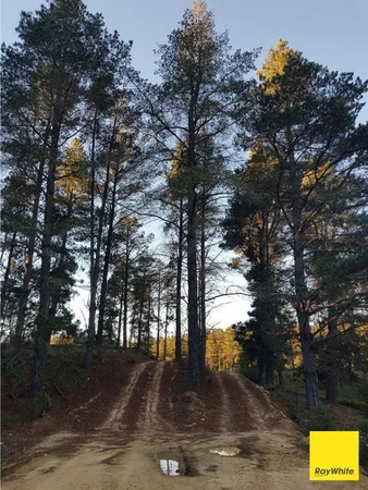 Additional image 16 of 270 Pine Bank Drive, Lower Boro NSW 2580