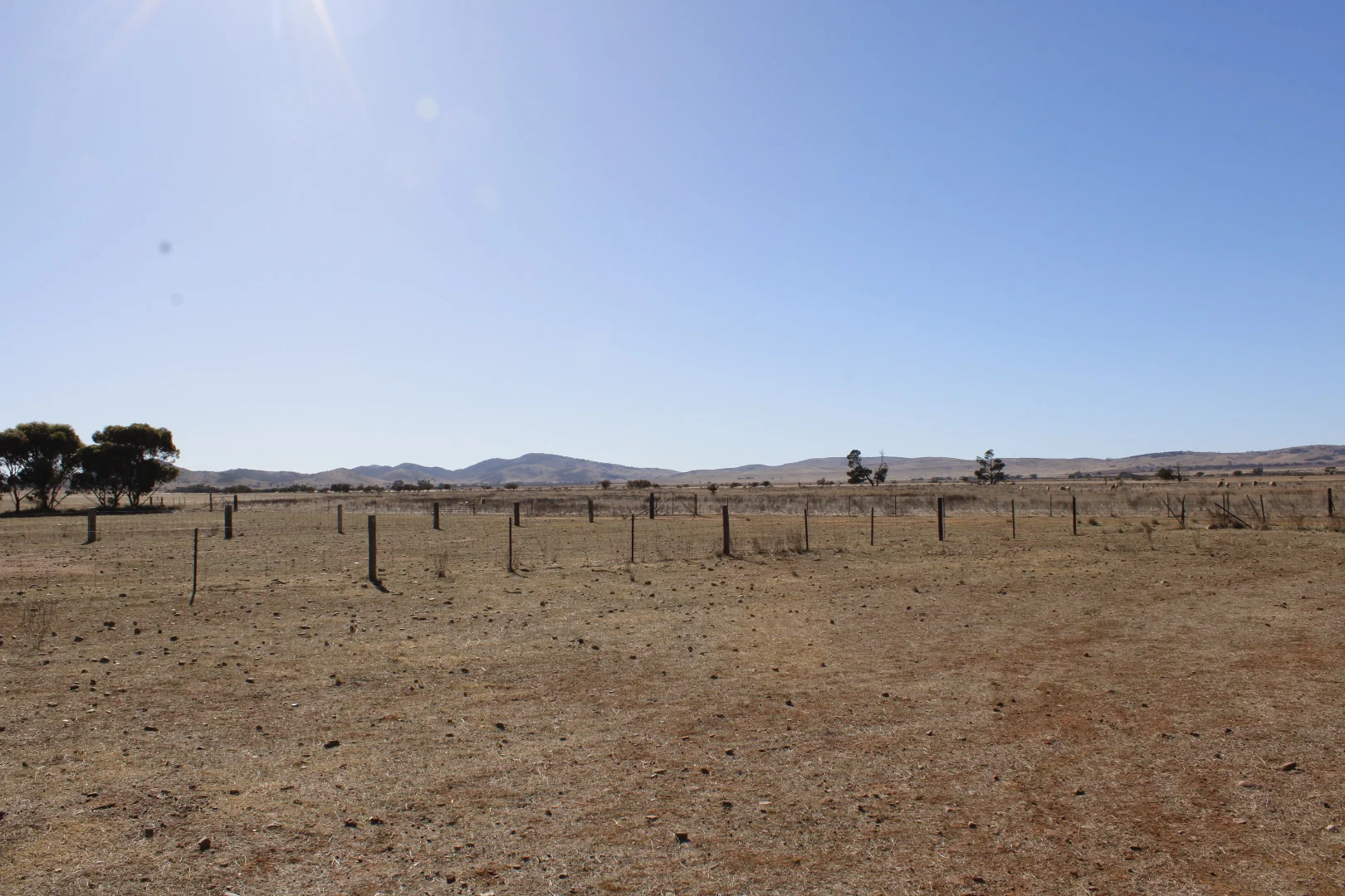 Additional image 30 of "Woodlands" Black Rock Road, Minvalara SA 5422