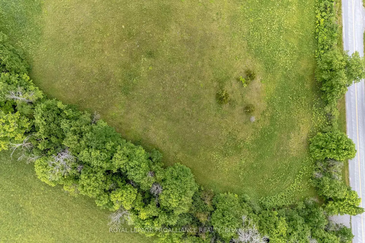 Additional image 9 of 5035 Blessington Road