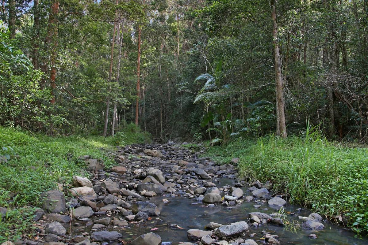 Additional image 19 of 22 Petsch Creek Road, Tallebudgera Valley QLD 4228