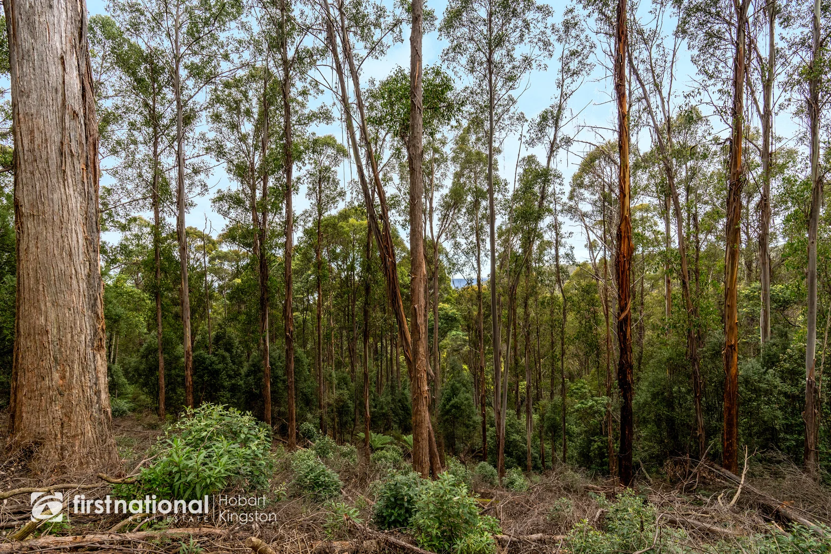 Additional image 8 of 240 Watsons Road, Kettering TAS 7155