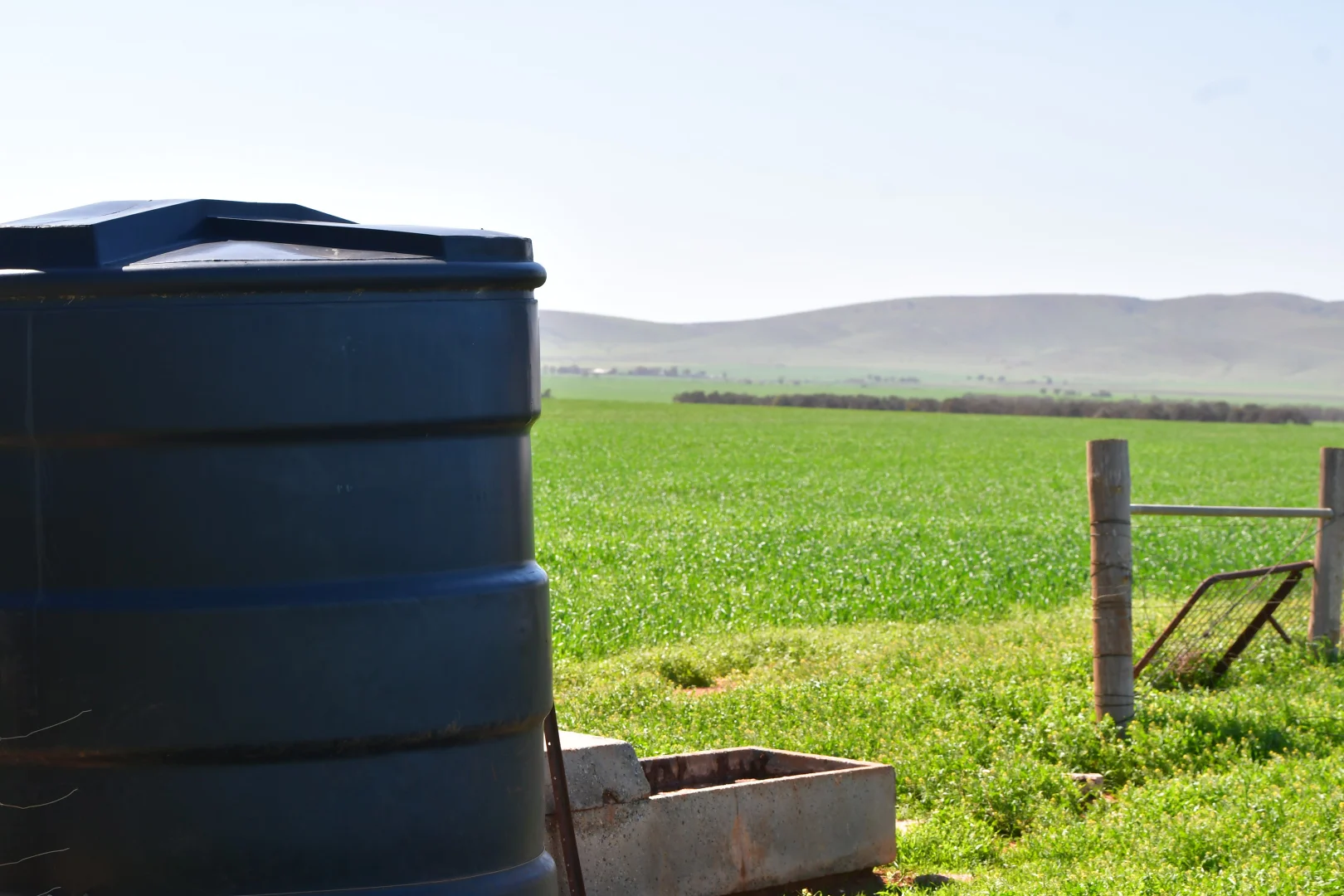 Additional image 7 of SECTION 121 Orroroo Road, Willowie SA 5431