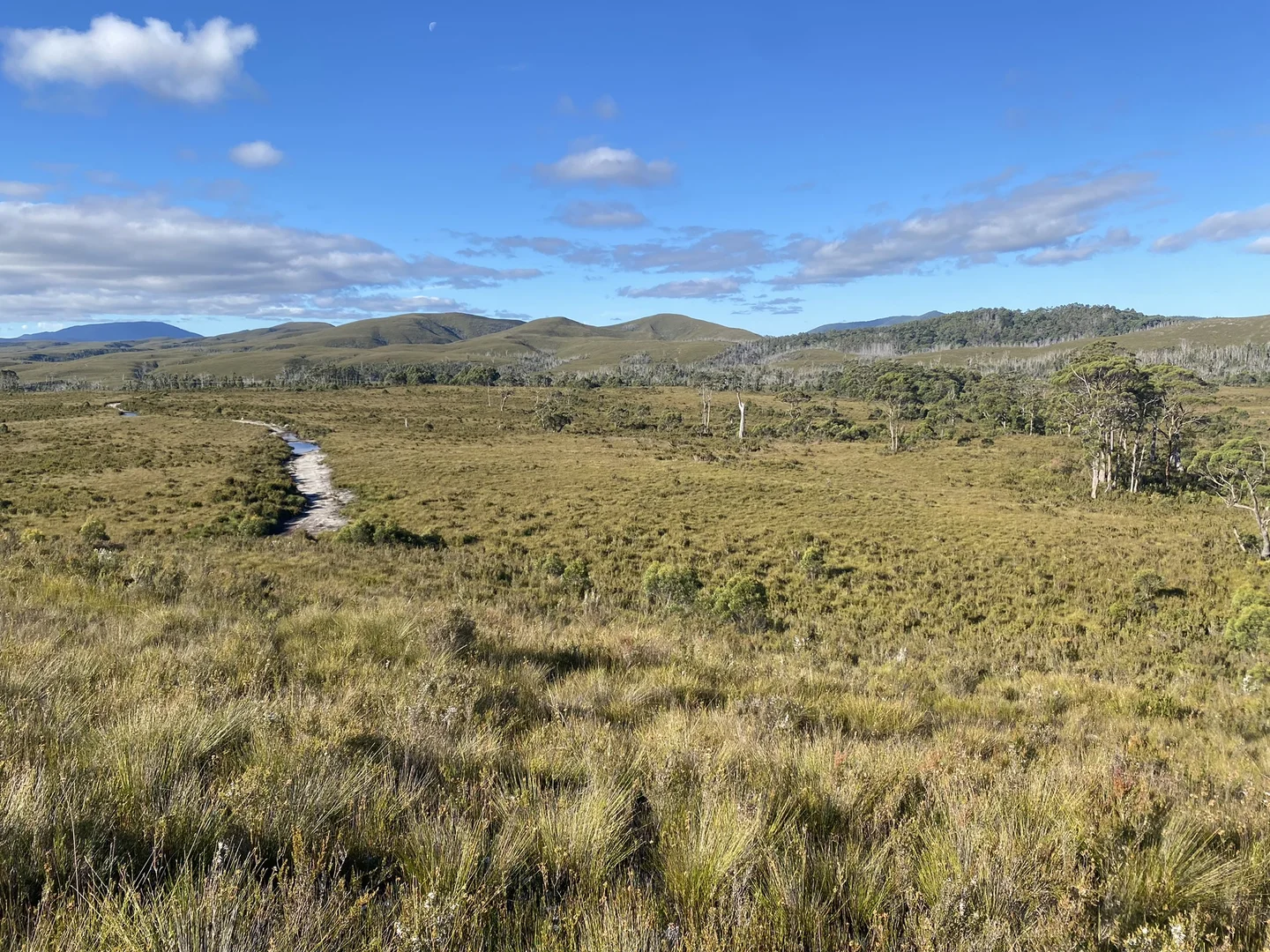 Additional image 7 of 499 Heemskirk Road, Zeehan TAS 7469