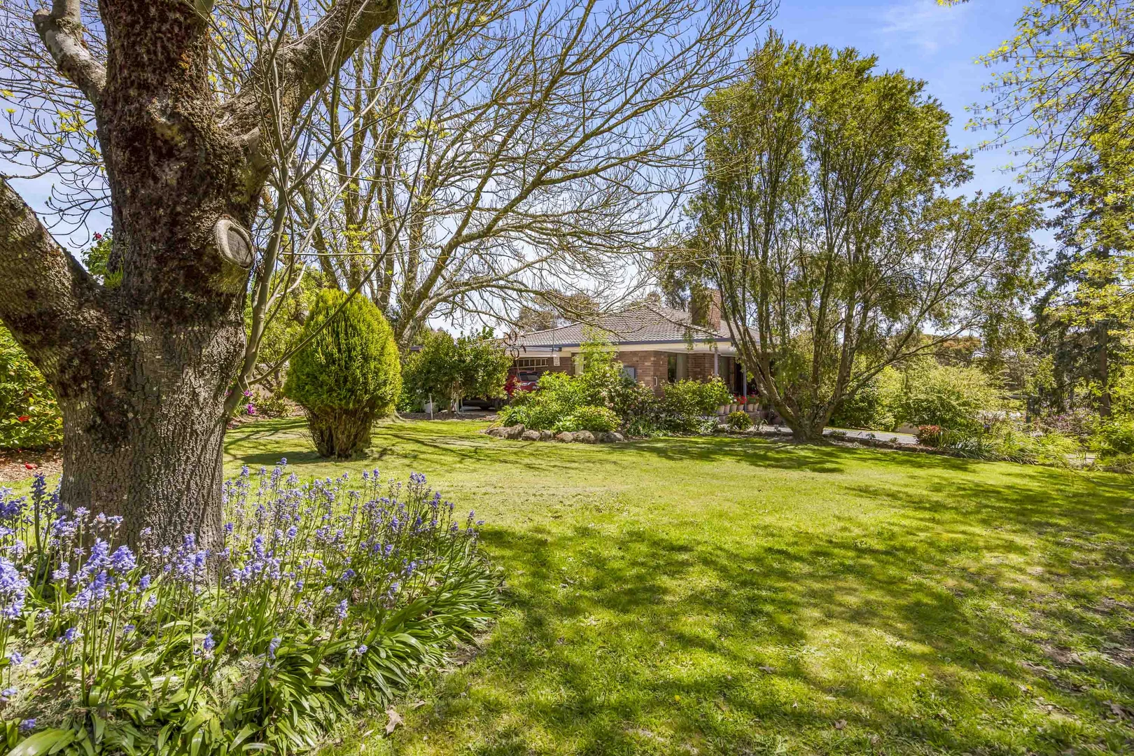 Additional image 32 of 209 Ballarat Road, Creswick VIC 3363