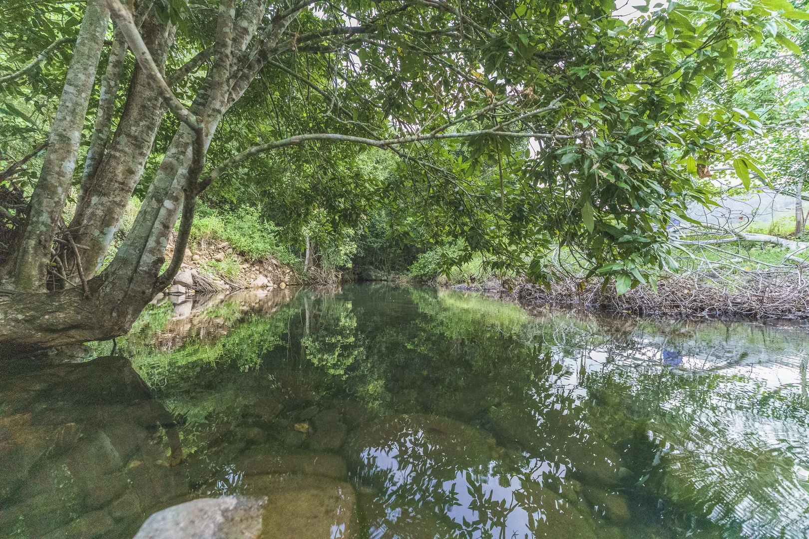 Additional image 13 of 24 Petersen Road, Koumala QLD 4738