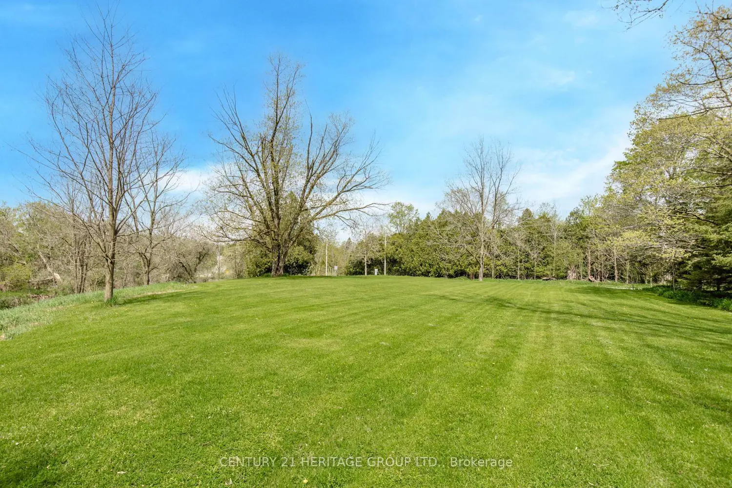 Additional image 19 of 4 Thomas Street