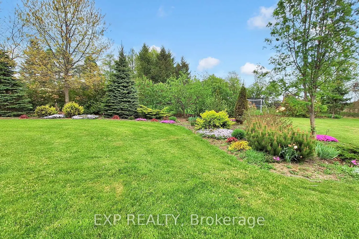 Additional image 20 of 42 Somerville Crescent