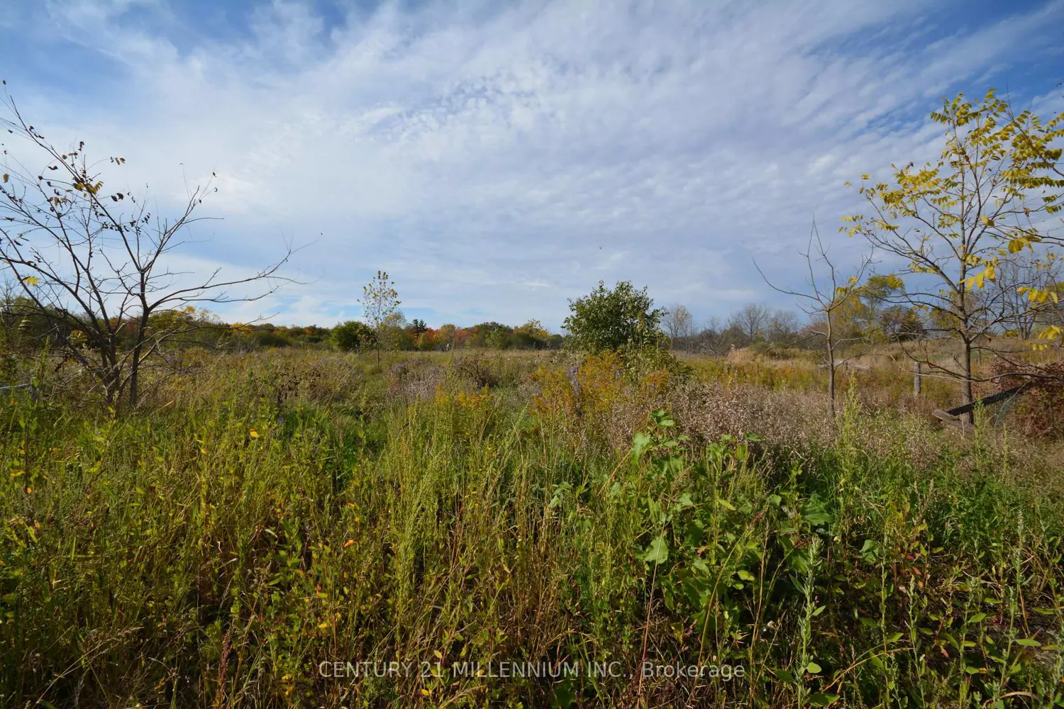 Additional image 7 of 4022 Fourth Line