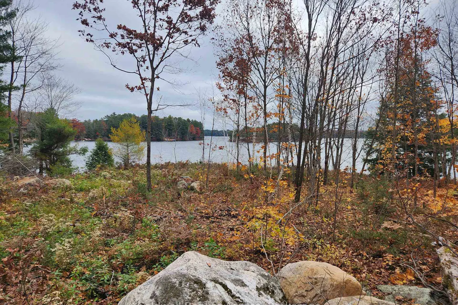 Additional image 9 of 52 Hawkins Point Road