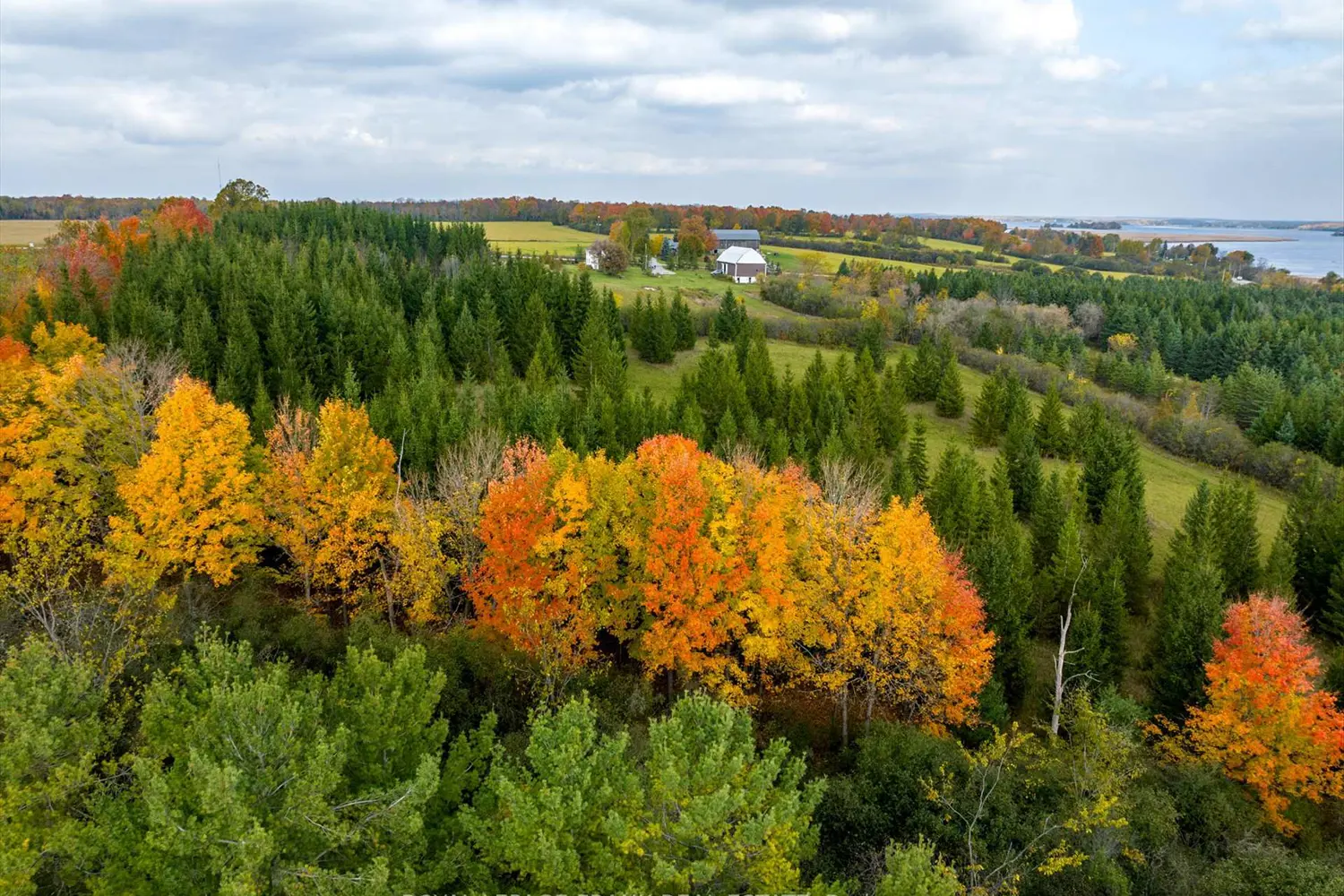 Additional image 15 of 1916 Pigeon Lake Road