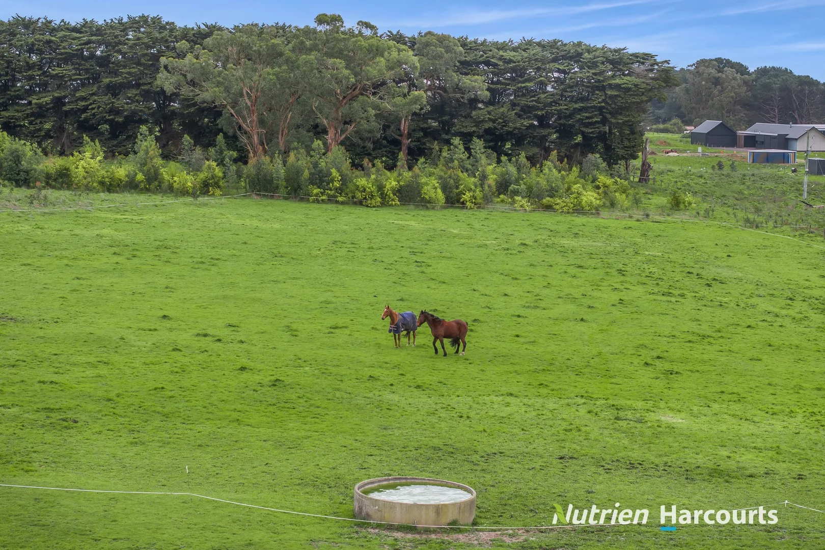 Additional image 3 of 141 Curdies River Road, Timboon VIC 3268