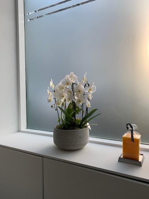 Additional image 18 of 1 Bed Flat, Leith, EH6, N1 7GU