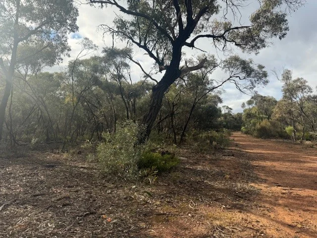 Additional image 23 of 6 Old Boort Road, Wedderburn VIC 3518