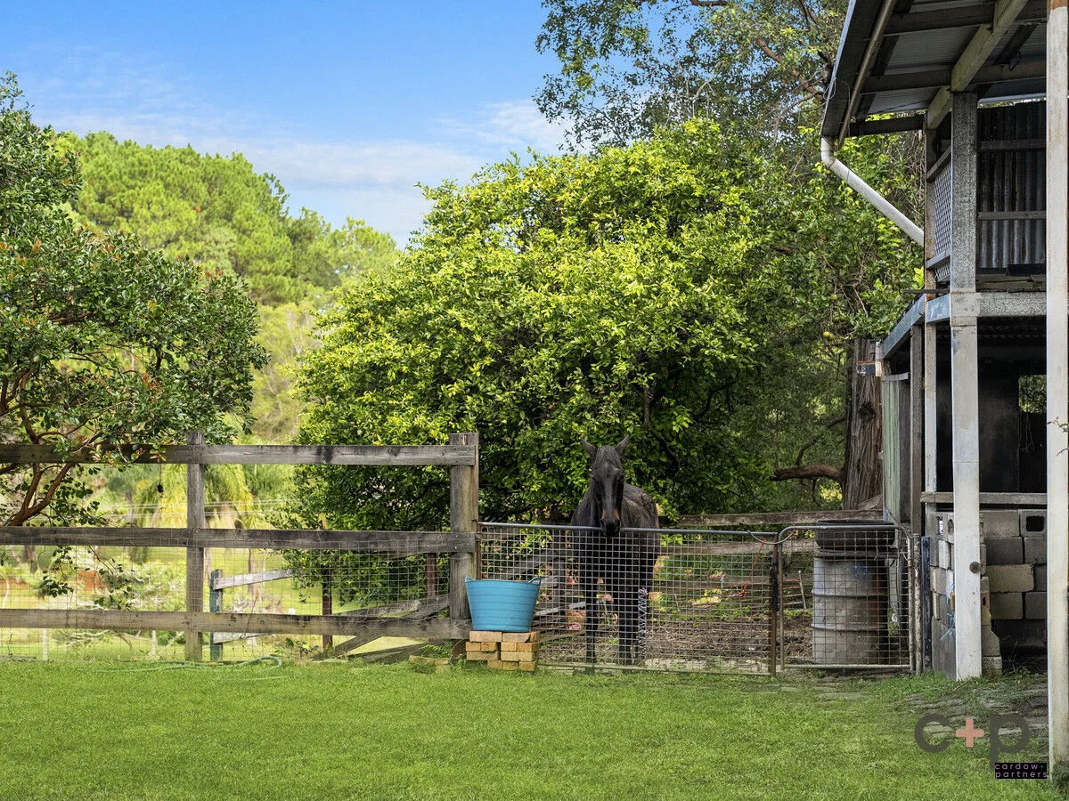 Additional image 8 of 33 Deans Road, Boambee NSW 2450