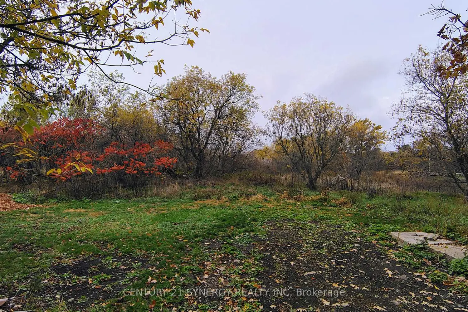 2772 8Th Line Road photo 4