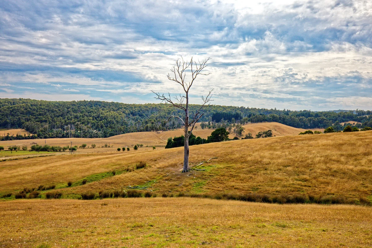 Additional image 15 of 110a Paling Track, Bangor TAS 7267