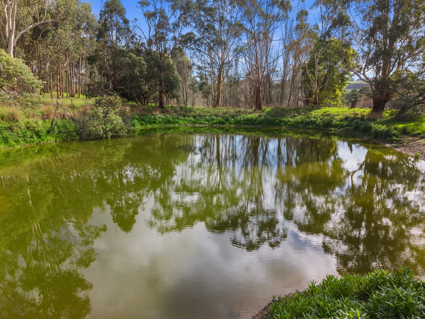 Additional image 17 of 588 Timboon-colac Road, Scotts Creek VIC 3267