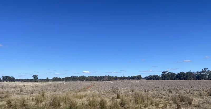 Additional image 17 of 382 Jones Lane, Condobolin NSW 2877