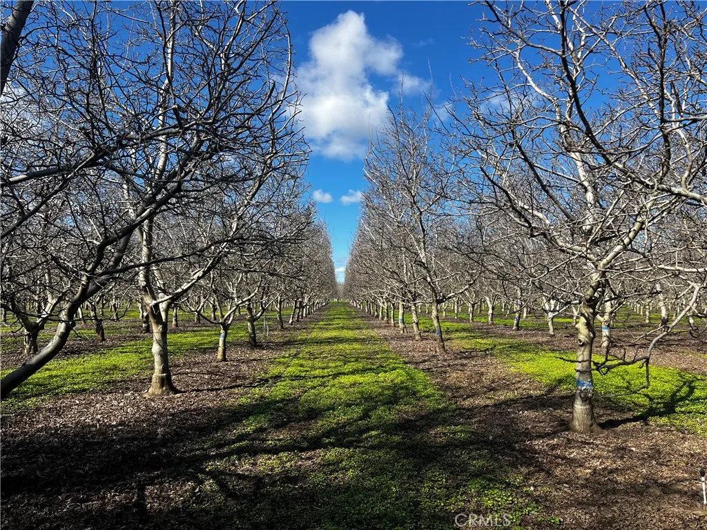 Additional image 22 of 3900 Stephens Road, Corning, CA 96021