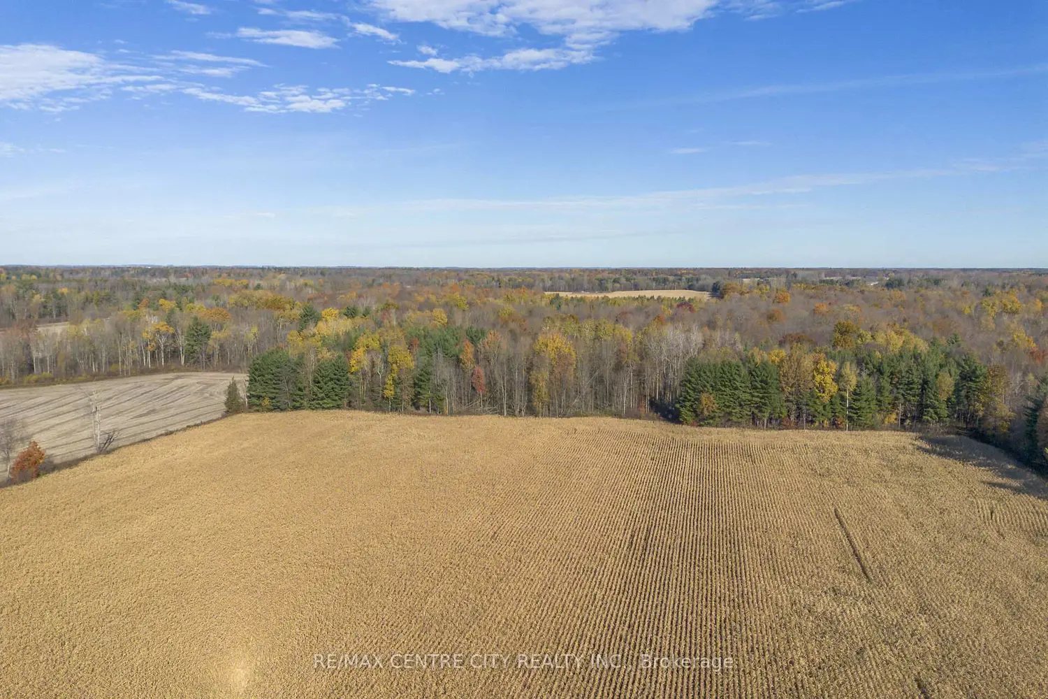 Additional image 7 of Pt Lt 140&141 Col Talbot Road