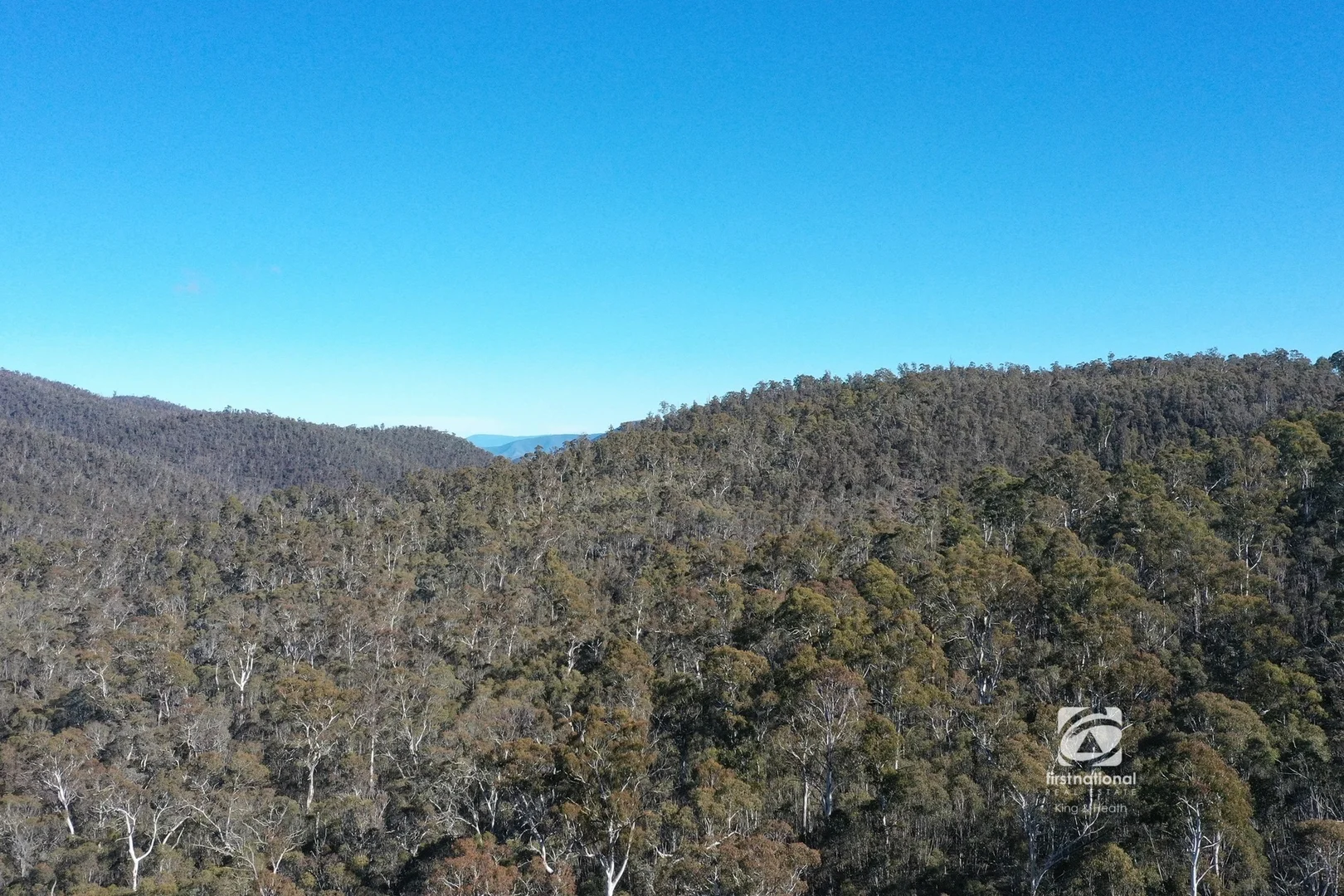 Additional image 4 of 786 McCallums Road, Benambra VIC 3900