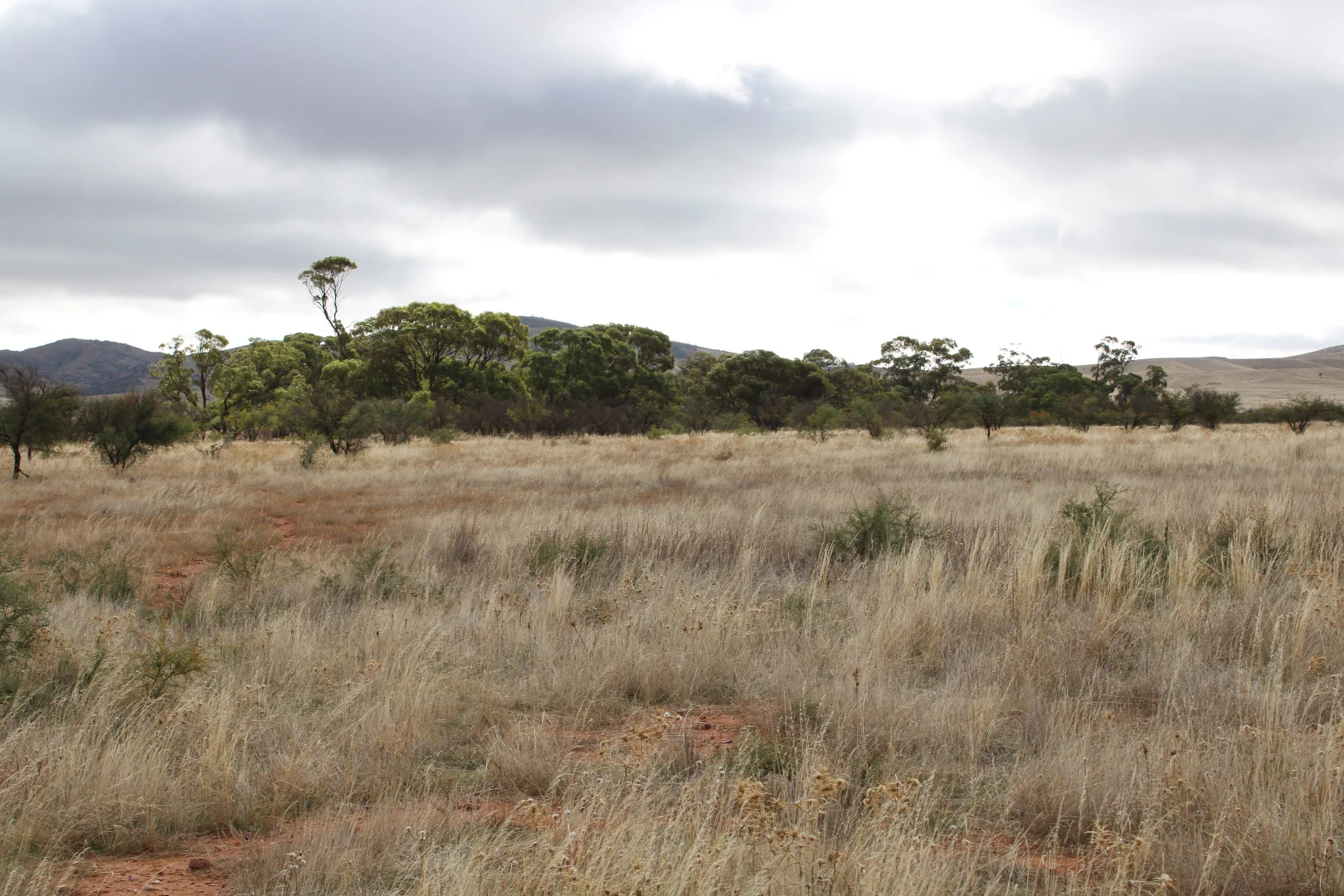 Additional image 15 of "Woodlands" Black Rock Road, Minvalara SA 5422