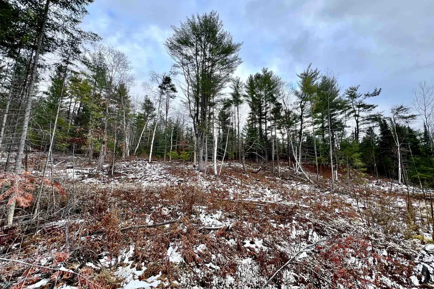 Additional image 10 of 744 Black Creek Road