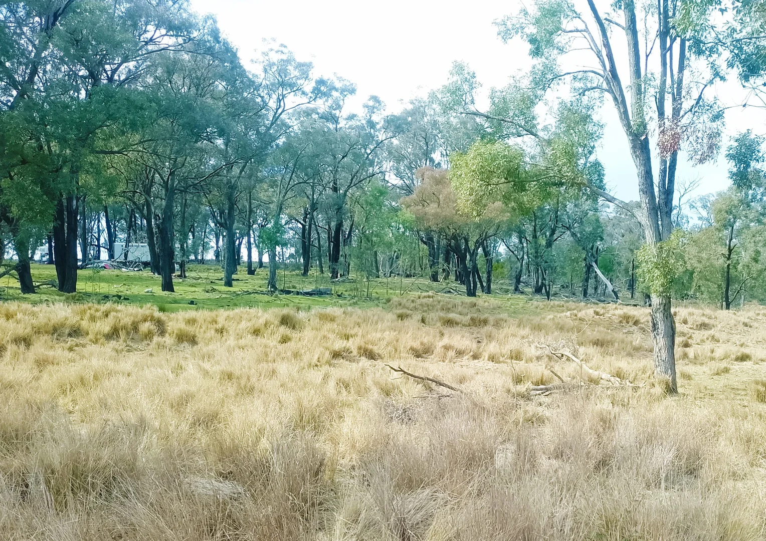 Additional image 4 of 22 Cainbill Road, Coolah NSW 2843