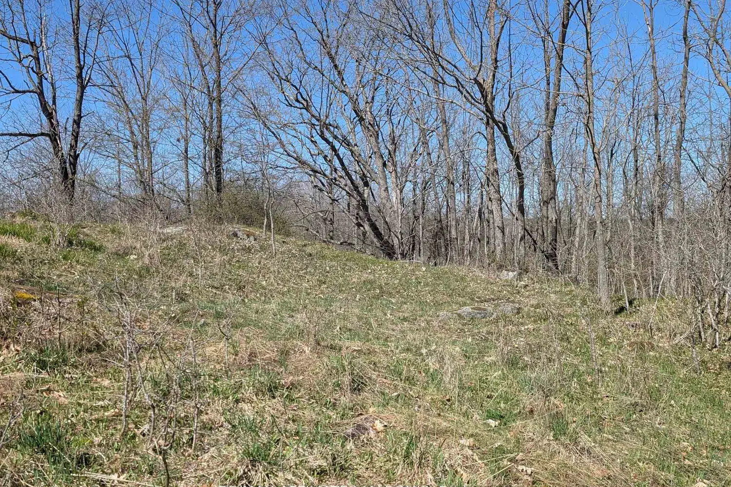 Additional image 15 of 0 Little Crosby Lake Road