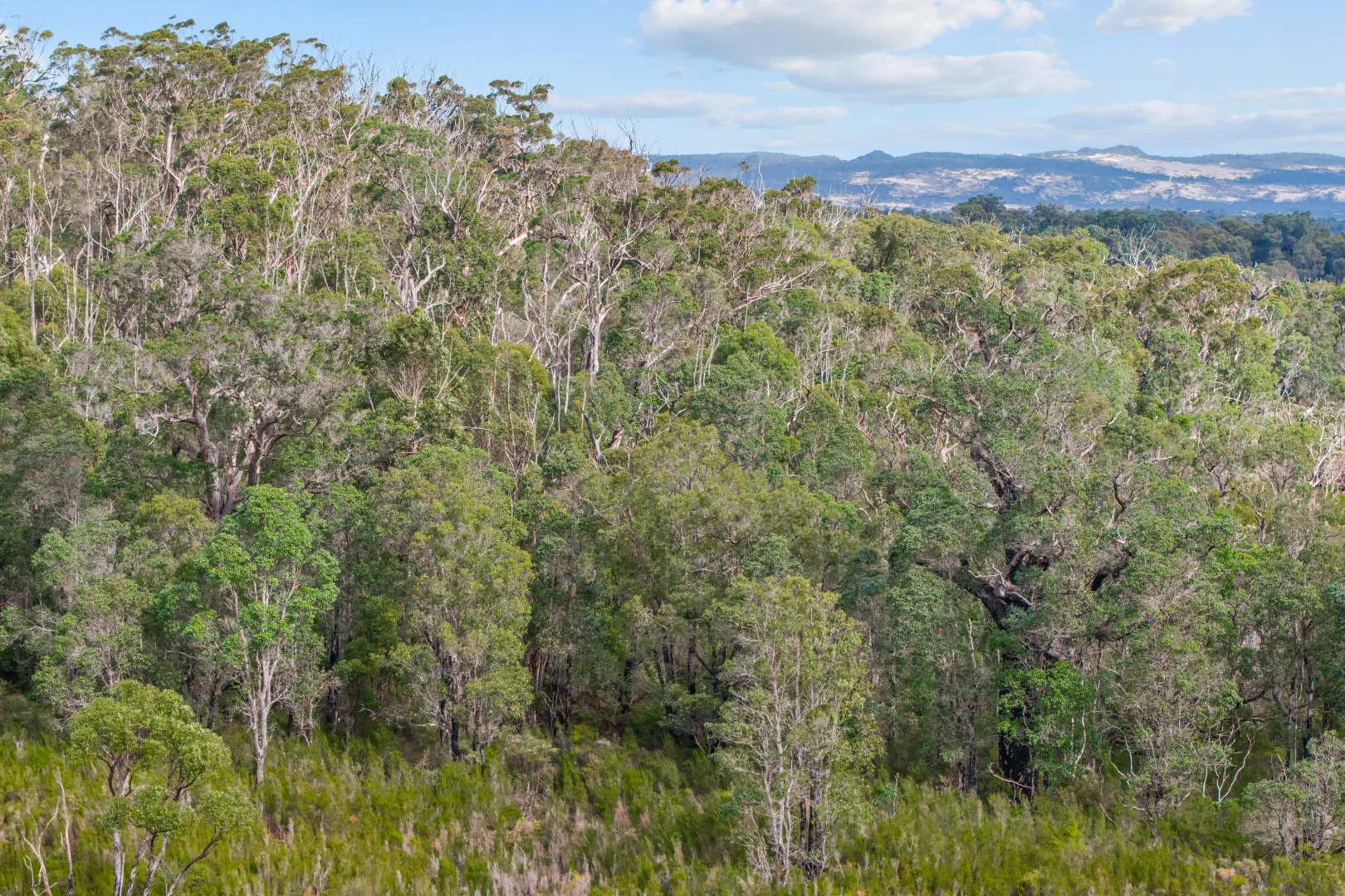 Additional image 16 of 701 Double Bridge Road, Northcliffe WA 6262