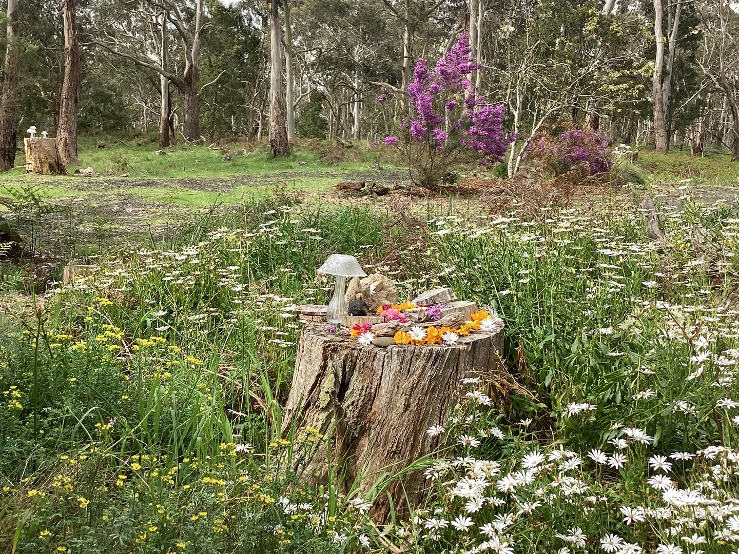 Additional image 21 of Carpendeit VIC 3260