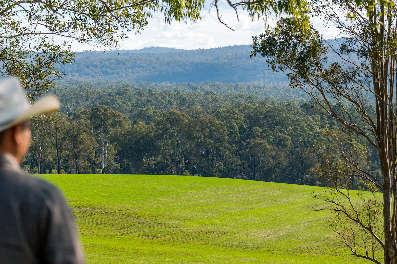 Additional image 20 of 119 Paddys Flat Road, Tabulam NSW 2469