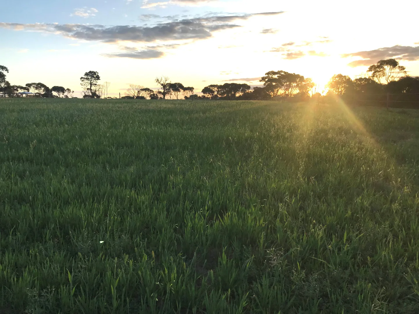 Additional image 24 of 195 Upper Yorke Road, Port Broughton SA 5522