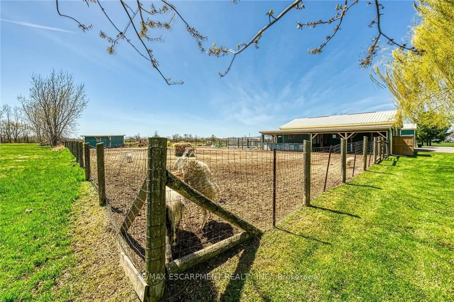 Additional image 17 of 1866 Thompson Road