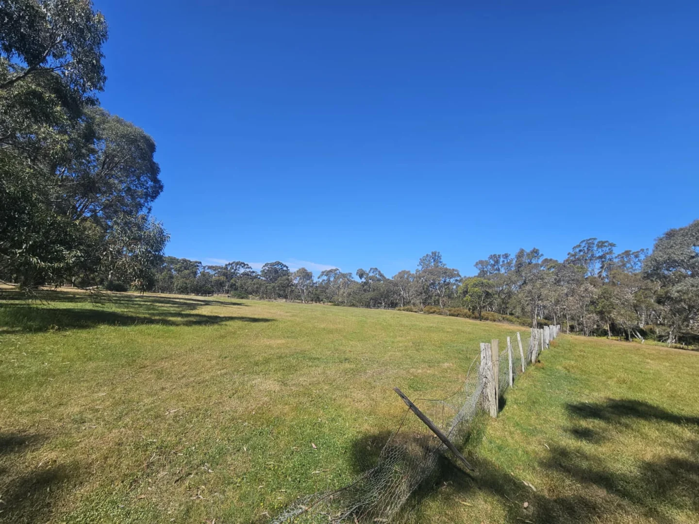 Additional image 5 of 287 Bells Reef Road, Maldon VIC 3463
