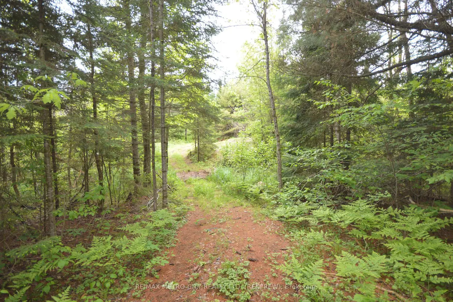 Additional image 9 of 6340 Murphy Road