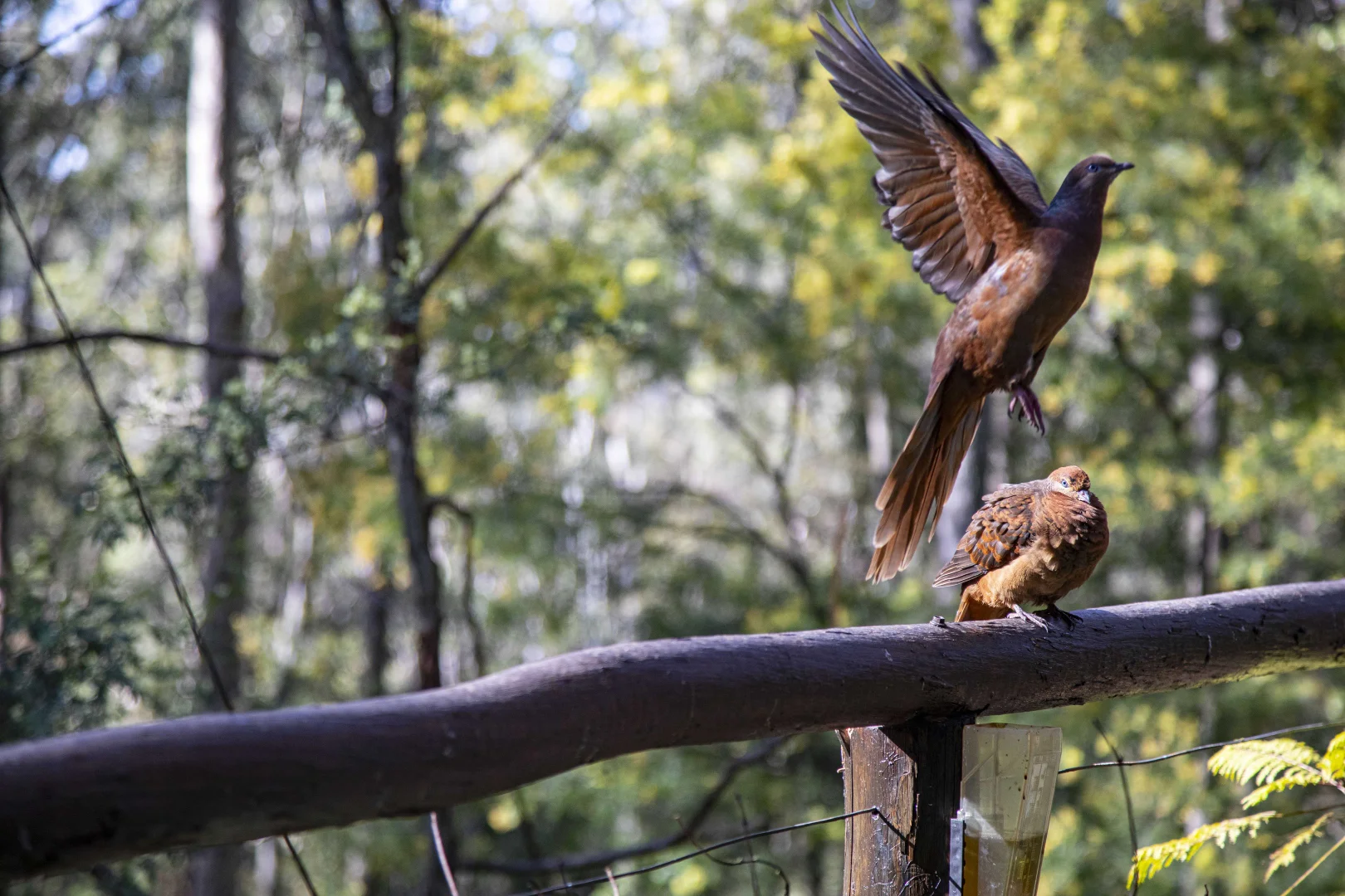 Additional image 19 of 576 Sandy Creek Road, Quorrobolong NSW 2325