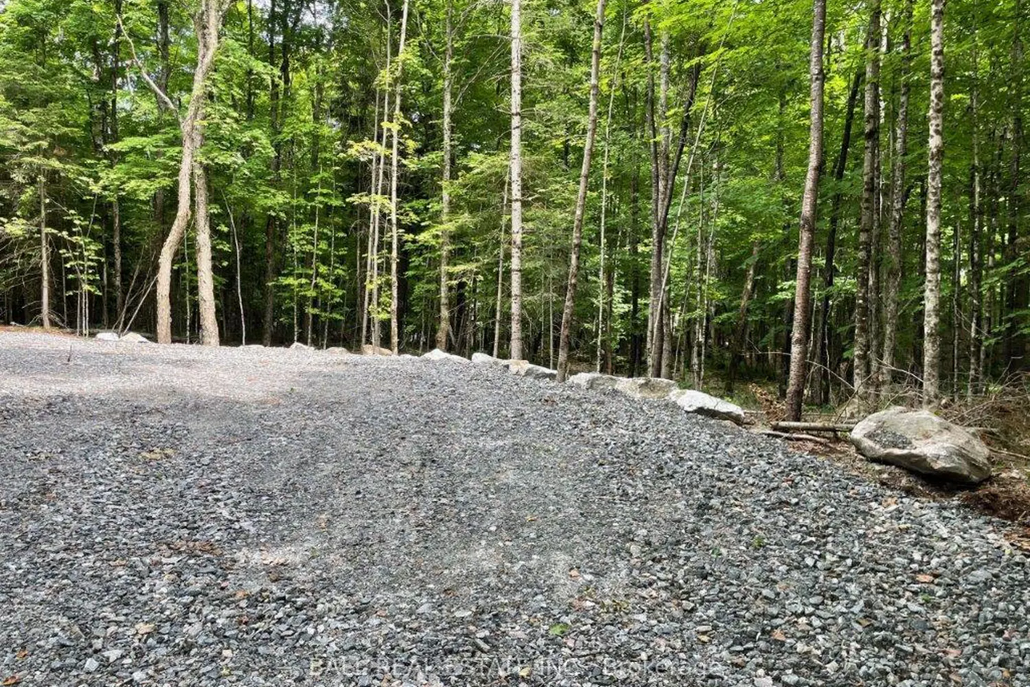 Additional image 11 of 1350 Haliburton Lake Rd