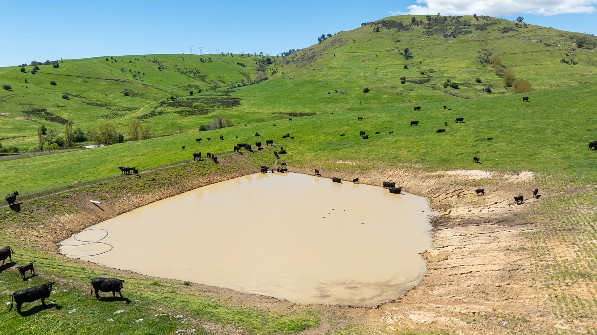 Additional image 6 of 3465 Murray Valley Highway, Berringama VIC 3691