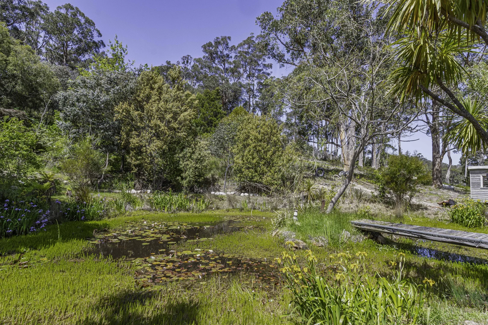 Additional image 25 of 242 Woolleys Road, Lonnavale TAS 7109