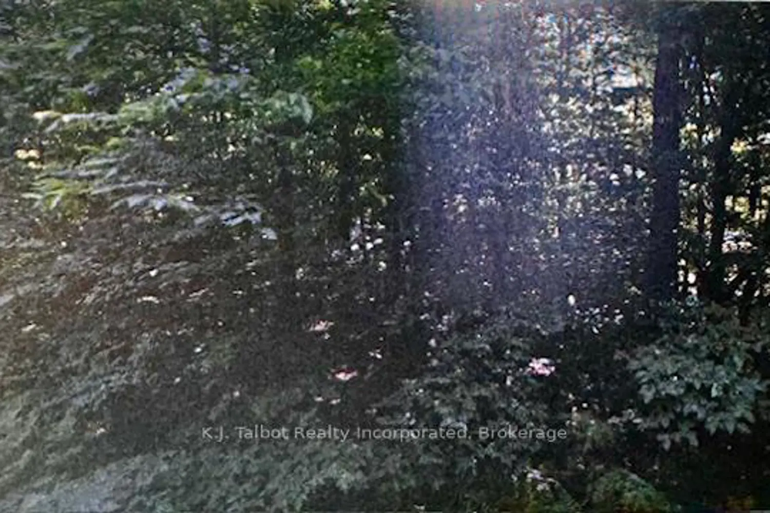 Additional image 10 of 78178 Lavrangue Drive