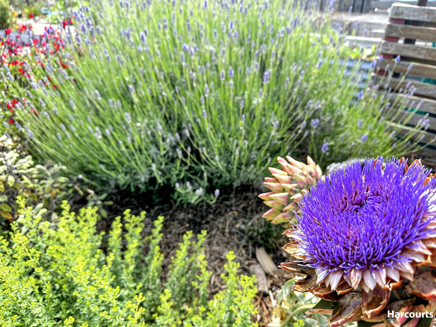 Additional image 6 of 25 Reedy Road, Beaumaris TAS 7215