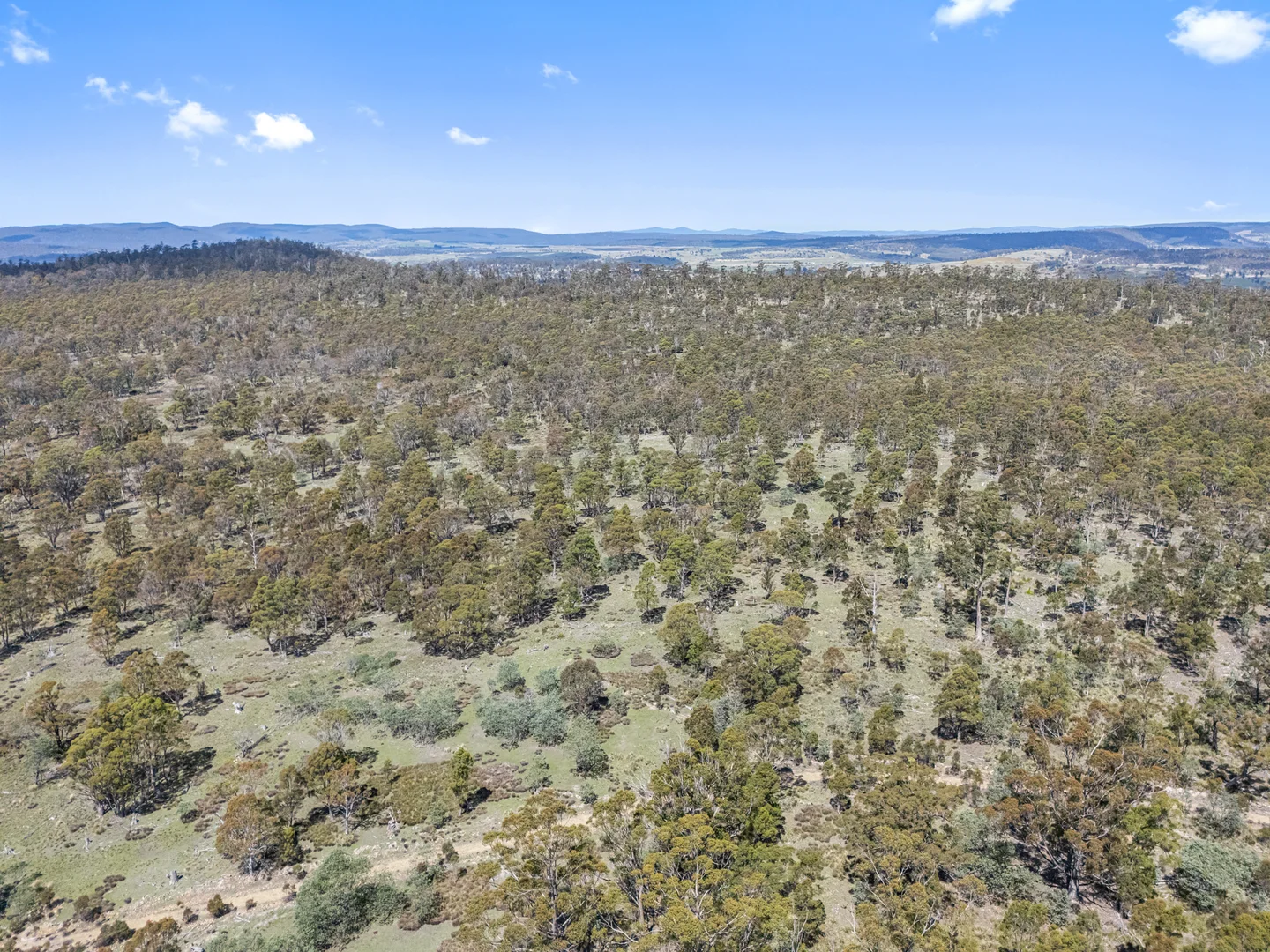 Additional image 33 of Lot 1 Lemont Road, Lemont TAS 7120