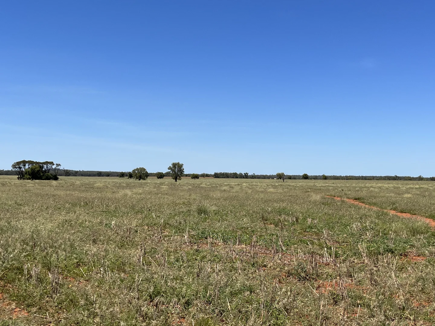 Additional image 22 of "Glendale"/4666 Mitchell Highway, Girilambone NSW 2831