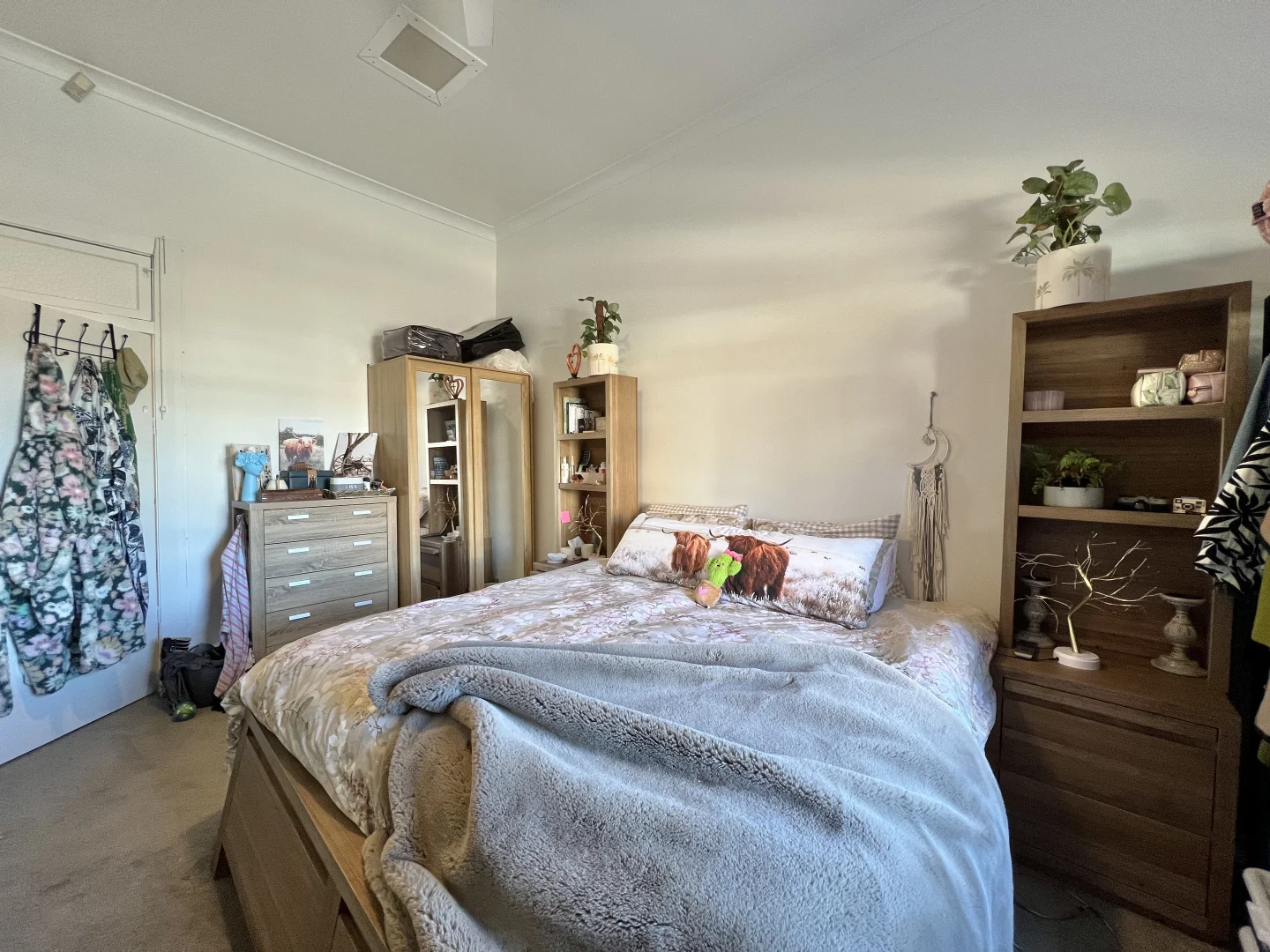 Additional image 5 of 95 Lachlan Street, Forbes NSW 2871